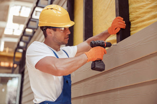 Best Insulated Siding Installation  in Smith Valley, NV