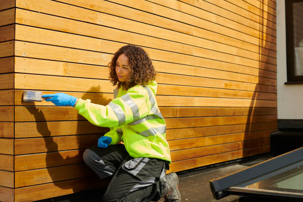 Best Stone Veneer Siding  in Smith Valley, NV